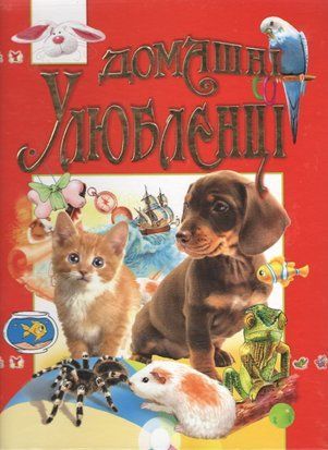 Домашні улюбленці 10872 фото