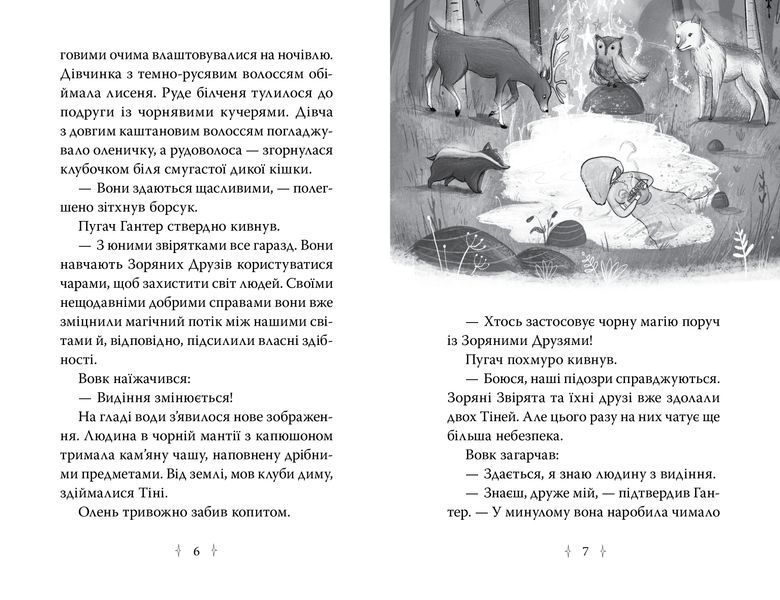 Зоряні Друзі. Книжка 3. Таємне заклинання 9186 фото