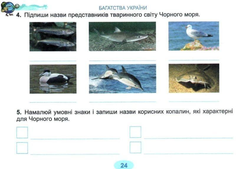 Діагностичні картки. Я досліджую світ. 4 клас НУШ 10617 фото