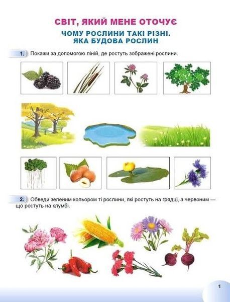 Зошит. Я досліджую світ. 1 клас Частина 2 НУШ 10461 фото