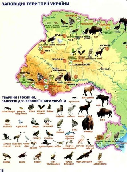 Атлас з контурними картами. Я досліджую світ. 3 клас НУШ 10558 фото